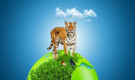 Photo for Manipulation Forest. Tiger on world map. world animal day. world tiger day. manipulation creative. - Royalty Free Image
