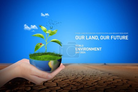 Concepto del Día Mundial del Medio Ambiente 2024 - Restauración de tierras, desertificación y resiliencia a la sequía. Concepto de ecología. Día Mundial del Medio Ambiente banner creativo, cartel, post de medios sociales, cartelera, tarjeta postal.