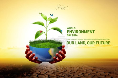 Journée mondiale de l'environnement 2024 concept - Restauration des terres, désertification et résilience à la sécheresse. Concept d'écologie. Journée mondiale de l'environnement bannière créative, affiche, message sur les médias sociaux, panneau d'affichage, carte postale.