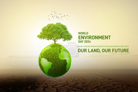 Journée mondiale de l'environnement 2024 concept - Restauration des terres, désertification et résilience à la sécheresse. Concept d'écologie. Journée mondiale de l'environnement concept créatif bannière, affiche, message sur les médias sociaux, carte postale.