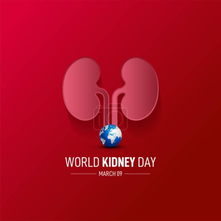 Illustration for World kidney day. Kidney vector illustration on red background. kidney day creative concept. - Royalty Free Image