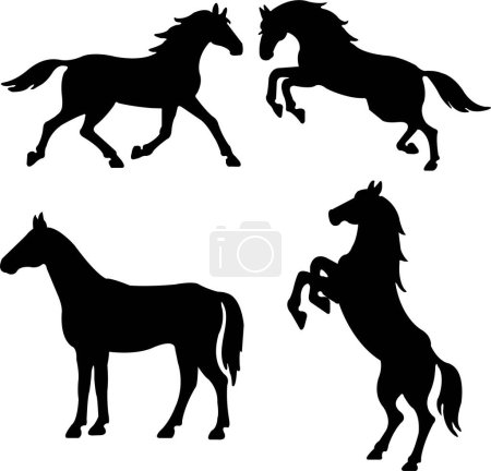 Téléchargez les illustrations : Ensemble de silhouettes plates noires d'un cheval d'élevage. Un étalon en herbe s'est arraché les oreilles. Collecte d'éléments vectoriels pour les produits équestres isolés sur un fond transparent. - en licence libre de droit
