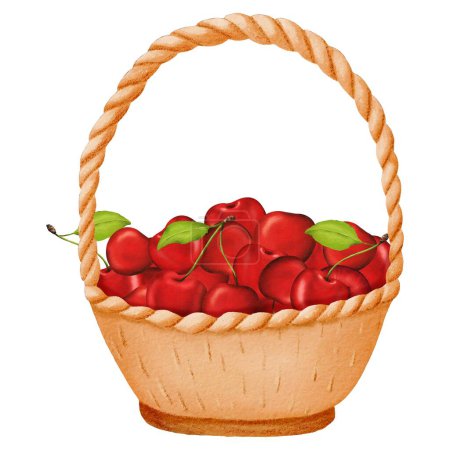 Photo for A cozy home composition of the harvest. Sweet ripe juicy sweet cherry berries in a wicker basket. Bright watercolor illustration. For pie, baking, jam, garden, juice prints. Hand drawn sketch. - Royalty Free Image