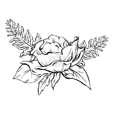 Illustration for Ink: Floral composition featuring delicate open rose flowers fern and rose leaves. Decorative foliage in a simple monochromatic style. for cards, coloring, prints, posters, and textile printing. - Royalty Free Image