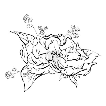 Illustration for Ink: Floral composition featuring delicate open rose flowers and woodland forget-me-nots. Wildflowers and rose leaves. A stylish illustration for cards coloring prints, posters and textile printing - Royalty Free Image