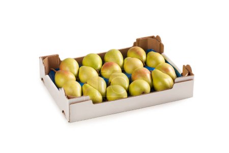 Téléchargez les photos : Poires dans une boîte en carton blanc Fruits verts Cultivar italien "Pera Coscia" (Pyrus Communis) Arrangé, Commandé dans une boîte en carton de marché aux fruits Décryptages détaillés Macro, isolé sur fond blanc - en image libre de droit