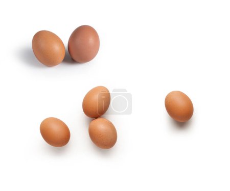 Photo for Egg - Uovo - isolated on white - Royalty Free Image
