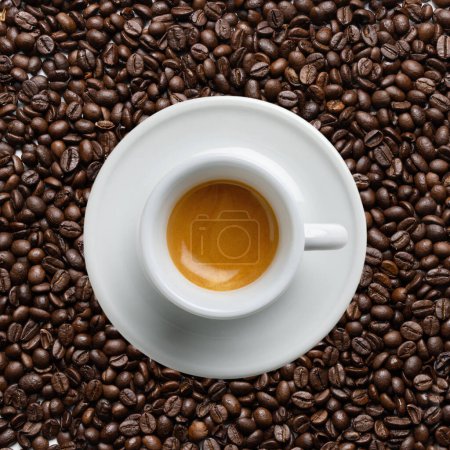 Foto de Café espresso italiano, vista superior fondo de granos de café.Taza espresso tradicional de cerámica blanca con una sombra de fundición, centrada en la crema, detallada, plano macro de primer plano, de alta resolución. - Imagen libre de derechos