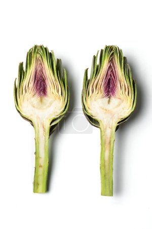 Photo for Green Artichokes Cut Open, Edible Flowers, Italian Vegetable "Carciofo"  Close-Up on Bud, Stem, Purple Leaves  Isolated on White Background - Royalty Free Image