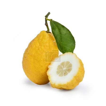 Photo for Sicilian Citron - Isolated on White Background - Royalty Free Image