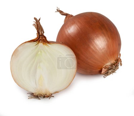 Photo for Onion - "Cipolla" Isolated on White Background  Italian Food - Royalty Free Image
