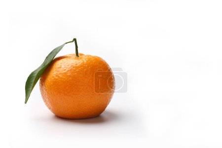 Téléchargez les photos : Feuille de fruits clémentine isolée sur fond blanc - Citrus clementina - en image libre de droit