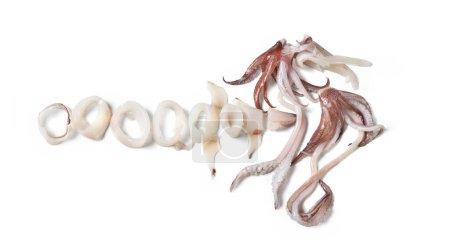 Foto de Anillos de calamar, Loligo vulgaris aislado - Imagen libre de derechos
