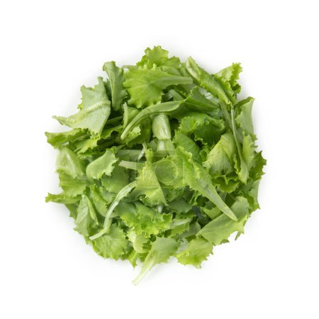Photo for Lettuce - Isolated on White Background - Royalty Free Image