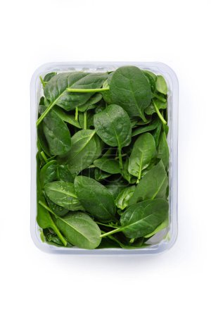 Photo for Baby spinach, Isolated on White Background  Close-Up Macro, plastic Package Wrapped in Clear Plastic - Top View, Macro Close Up - Royalty Free Image