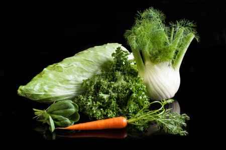 Photo for Salad element, Lettuce still life, Vegetable composition, Cichorium Endiva, Curly endive, Spinach, Fennel, Carrot - Royalty Free Image