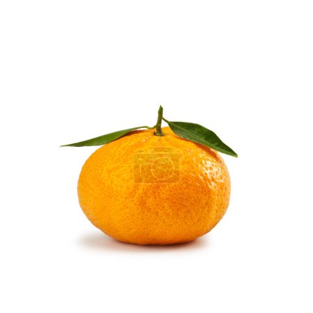 Téléchargez les photos : Mandarin orange - Mandarino - Citrus reticulata isolé - en image libre de droit