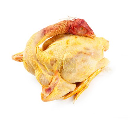 Foto de Gallo de gallo completo Capon Cockerel para cocinar aislado sobre fondo blanco - Imagen libre de derechos