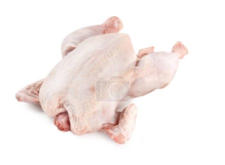 Photo for Whole Uncooked Chicken  Isolated on White Background - Royalty Free Image
