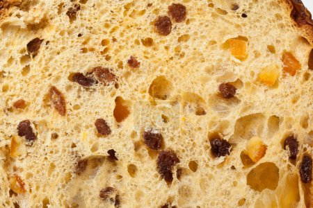 Photo for Panettone-  Italian type of sweet bread loaf originally from Milan usually prepared and enjoyed for Christmas and New Year - Royalty Free Image