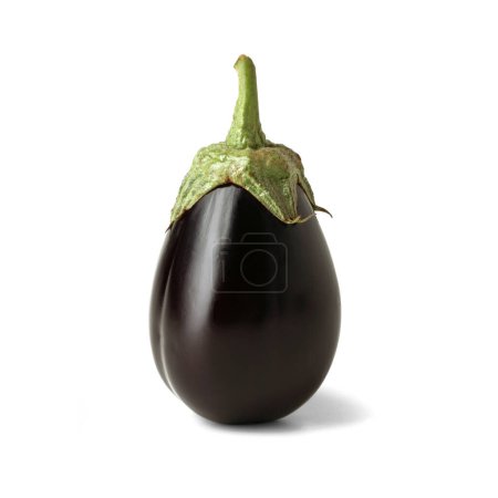 Photo for Eggplant, aubergine, Solanum melongena isolated on white background - Royalty Free Image