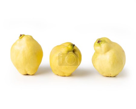 Téléchargez les photos : Coing fruit (Cydonia oblonga) gros plan isolé sur fond blanc - en image libre de droit