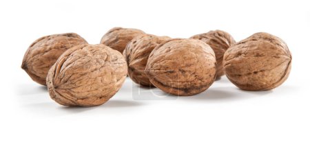 Photo for Walnut isolated on the white background Noci di Sorrento - Royalty Free Image