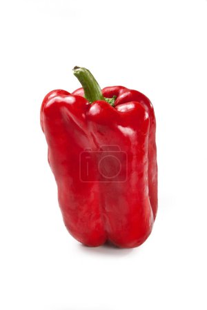 Photo for Red Bell Pepper, Isolated on White Background  Bright, Glossy Skin, Italian "Peperone" Ingredient, Raw Uncooked, Close Up Macro on Green Stem and Calyx, Well Lit   High Resolution - Royalty Free Image