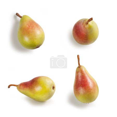 Foto de Pears Close-Up, Four Whole, Arranged   Bunch of Green Italian Cultivar "Pera Coscia" (Pyrus Communis) with Red Shade (Cold)  Macro Detail, Shadows  Isolated on White Background - Imagen libre de derechos