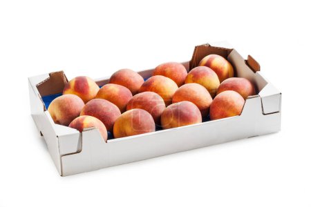 Photo for Peaches in White Cardboard Box  Common Yellow Peaches Arranged, Ordered in Fruit Market Carton Box  Detailed Close-Up Macro, Isolated on White Background - Royalty Free Image