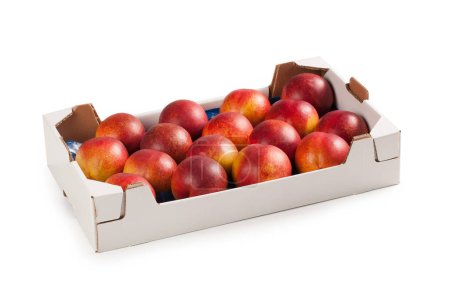 Photo for Nectarines in White Cardboard Box  Smooth Skin Peaches, Red and Yellow, Ordered in Fruit Market Carton Box  Detailed Close-Up Macro, Isolated on White Background - Royalty Free Image