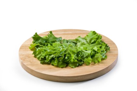 Photo for Plate with Lettuce Leaves - Isolated on White Background - Royalty Free Image