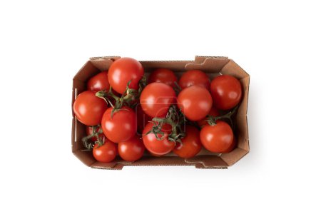 Foto de Tomates Cherry - Paquete de cartón - Vista superior, Macro Close Up - Aislado sobre fondo blanco - Imagen libre de derechos