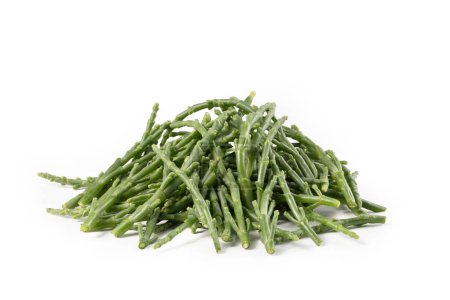Photo for Glasswort Stalks, Bunch of Samphire Isolated on White Background  Italian Green Salicornia Harvest, Pickleweed Vegetable, Raw Organic Vegetarian Ingriedient  Detailed Close-Up Macro, High Resolution - Royalty Free Image