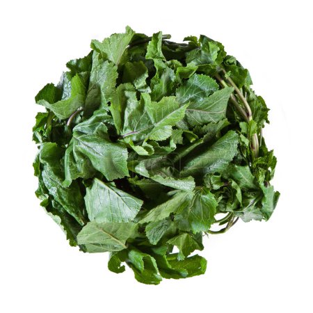 Photo for Chard and Mustard Greens - Isolated on White Background - Royalty Free Image