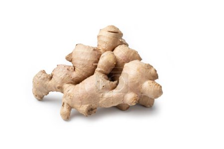Photo for Ginger Root  Close-Up and Macro Detail of a Whole Raw Ginger Root  Isolated on White Background - Royalty Free Image
