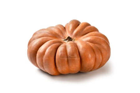 Photo for Pumpkin or Butternut squash isolated on white background - Royalty Free Image