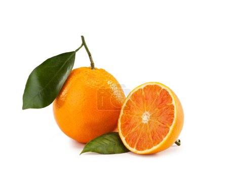 Téléchargez les photos : Feuille orange isolée sur fond blanc - Arancia Tarocco - Citrus sinensis - en image libre de droit