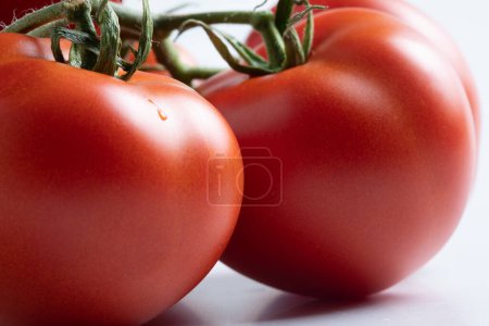 Foto de Tomates, macro de primer plano detallado, racimo de alta resolución, grupo de tomates italianos frescos, verduras rojas, tallo verde, ingrediente de cocina tradicional - Imagen libre de derechos