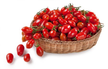 Plum Tomato Basket, Isolated on White Background  Wicker Container with Fresh Harvest of Plum Tomatoes from Italy, with Green Stem, Glossy Skin  Detailed Close-Up Macro, High Resolution