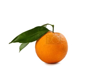 Orange from Sicily  "Tarocco" Cultivar  Isolated on White Background