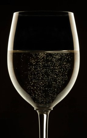 Téléchargez les photos : Verre de vin mousseux sur fond noir - en image libre de droit