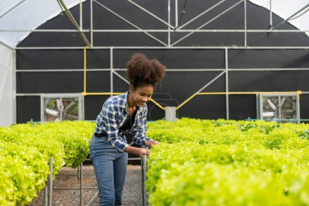 Foto de Jóvenes trabajadores agrícolas afroamericanos inspeccionan las plantas hidropónicas orgánicas con cuidado y sonríen felizmente: negocio de cultivo hidropónico orgánico, plantas verdes en espejo de granja de cultivo de invernadero - Imagen libre de derechos