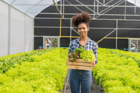 Photo for Young African American farmer worker inspects organic hydroponic plants with care and smiles happily: Organic hydroponic growing business, green plants in greenhouse farming farm mirror - Royalty Free Image
