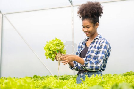 Téléchargez les photos : Jeune agriculteur afro-américain inspecte les plantes hydroponiques biologiques avec soin et sourit joyeusement : Entreprise de culture hydroponique biologique, plantes vertes dans un miroir de ferme en serriculture - en image libre de droit