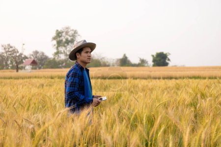 Foto de Un joven asiático se encuentra en un campo de hermoso trigo maduro dorado al atardecer. El uso de teléfonos inteligentes y portátiles, tabletas digitales tecnología de encuesta de calidad - Imagen libre de derechos