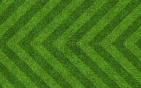 Photo for Green grass pattern lines background - Royalty Free Image