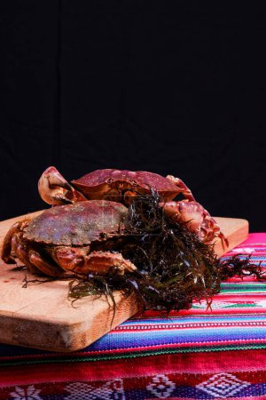 Photo for Crabs originating from the coasts of Peru eating chuyo seaweed. on black background - Royalty Free Image