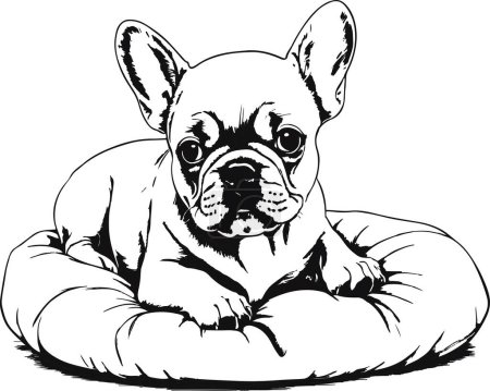 This detailed black and white illustration captures a French Bulldog puppy with an expressive face, comfortably lounging on a soft, round cushion.