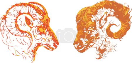 This image features two majestic Aries rams illustrated in fiery tones, symbolizing strength, determination, and leadership. It is perfect for zodiac-themed content and those looking to convey powerful, bold imagery